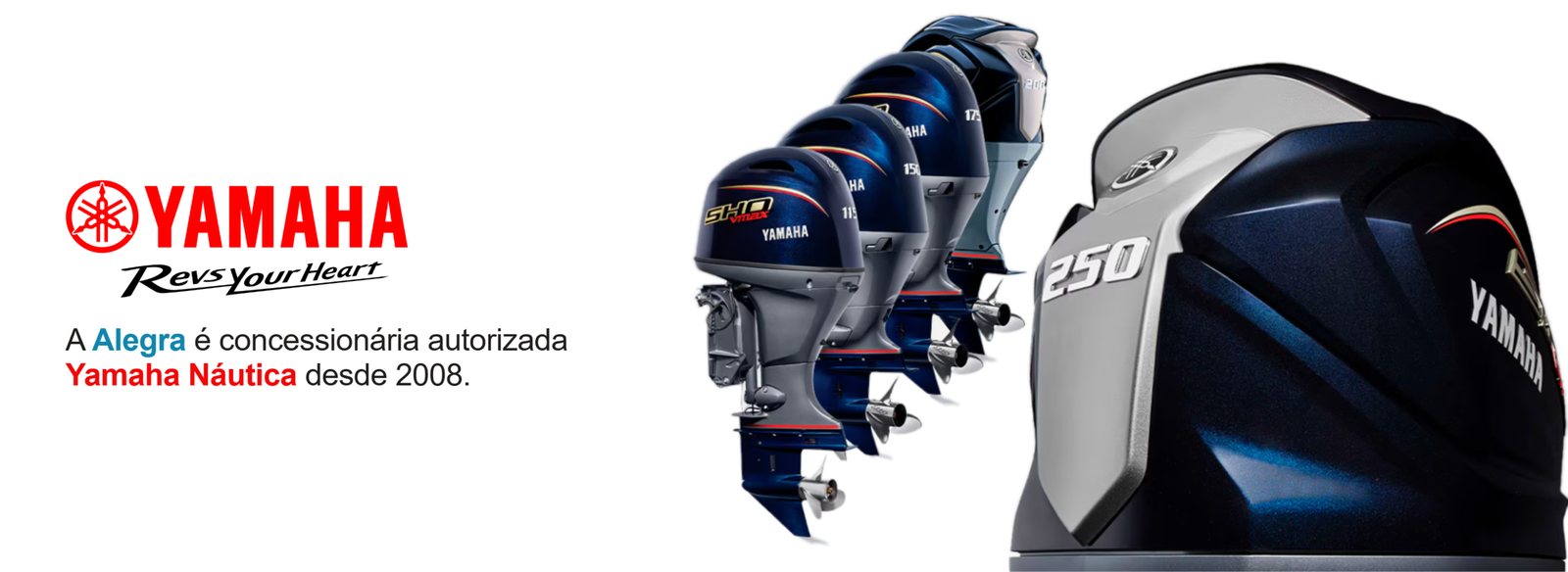 Yamaha Concessionaria Carrossel-selection